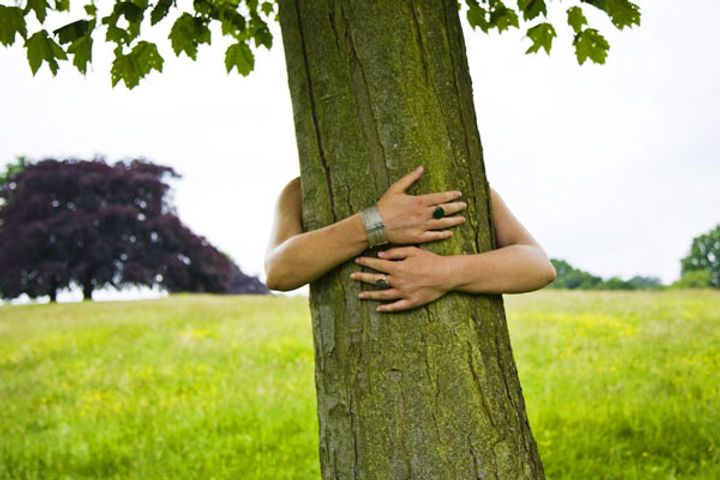 Icelandic Forestry Service asks people to hug trees to feel relaxed amid coronavirus outbreak