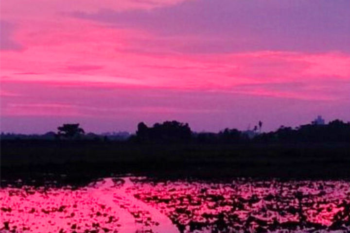 Bhubaneswar sky turned Pink after Amphan Cyclone creates menace in Odisha