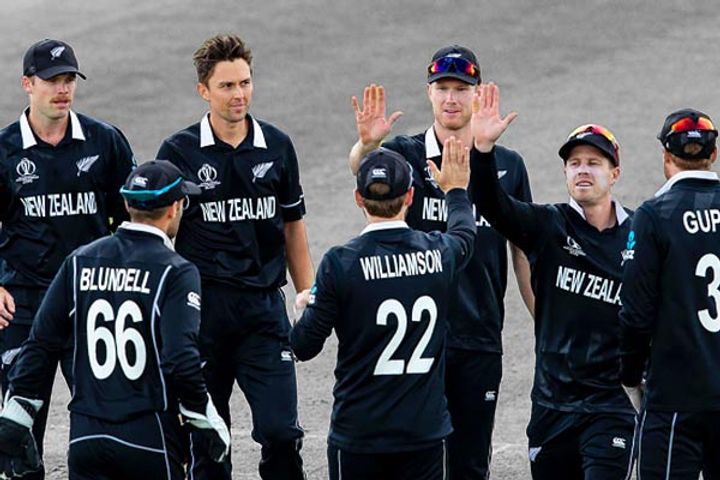 New Zealand Cricket braces for job losses amid coronavirus pandemic