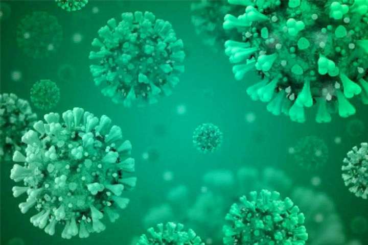 Claim Covid-19 virus reached India in November-December itself