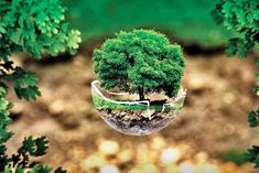 Black carbon is negatively impacting the Himalayan region temperature and glaciers