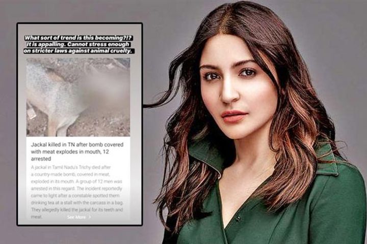 What sort of trend is this becoming Anushka Sharma reacts to killing of Jackal in Tamil Nadu