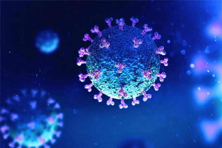 Scientists got big success identified many molecules capable of stopping Covid-19 Scientists got big success identified many molecules capable of stopping Covid-19