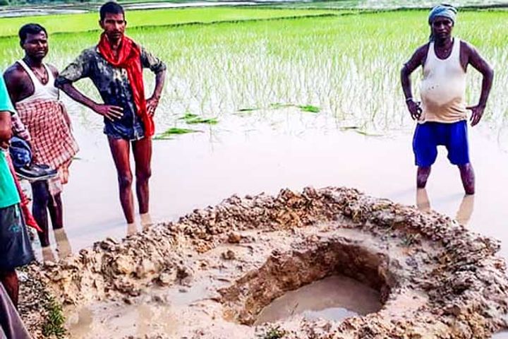 Scam 19 thousand metric tons of paddy missing this time in Haryana