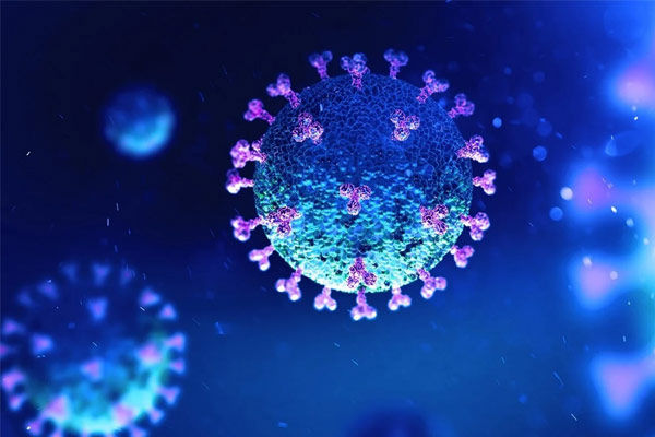 Study says exposure to common cold viruses can train body to identify and fight coronavirus 