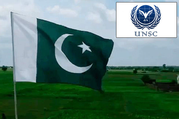 India exposes Pakistan in UNSC says we have faced cross-border terrorism