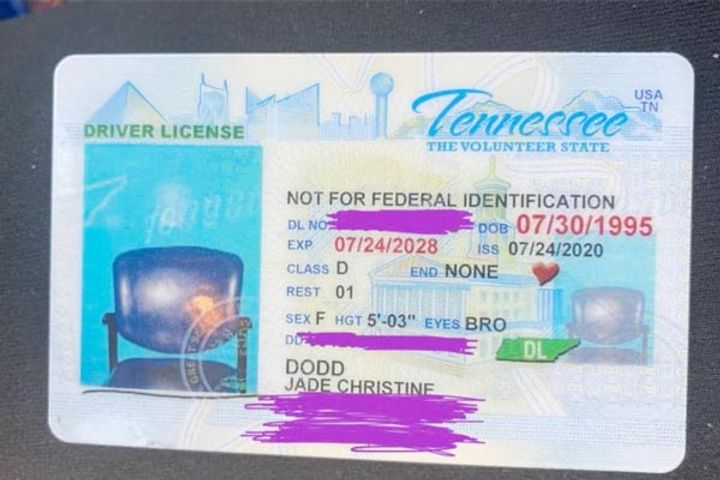 Tennessee woman receives driving license with photo of empty chair