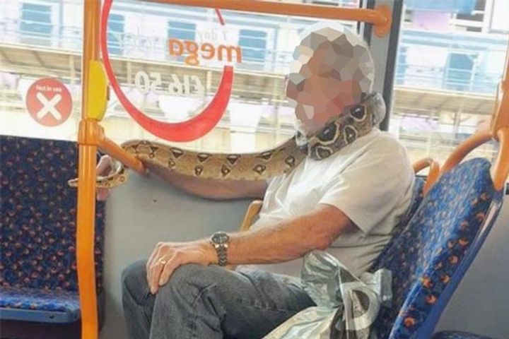 Man wears snake maks