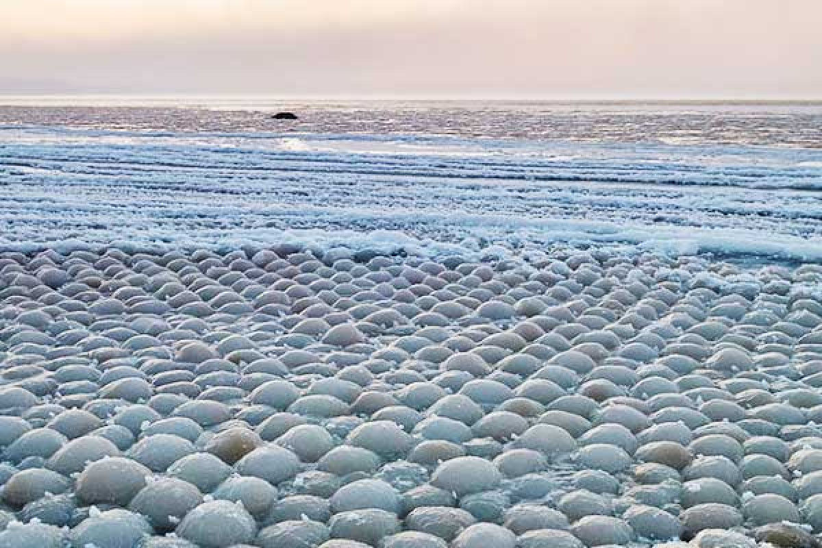 Thousands of rare ice eggs cover beach in Finland