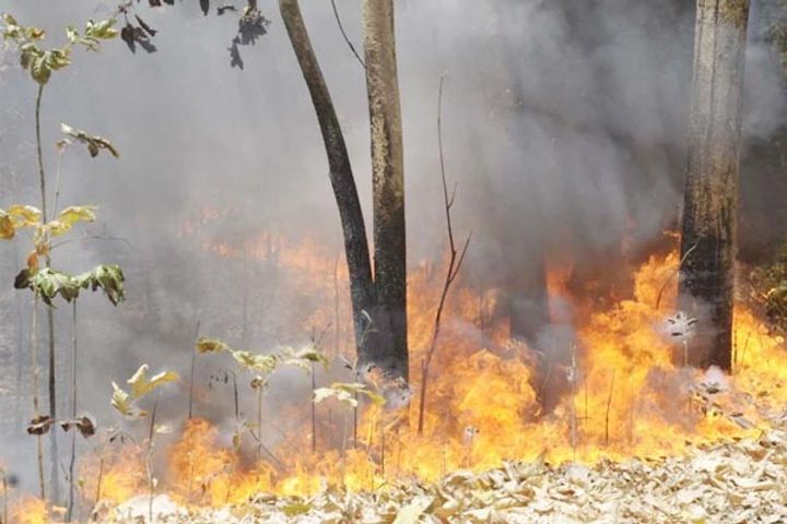 california fire california fire