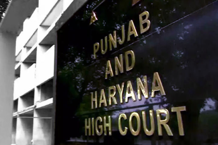 haryana high court