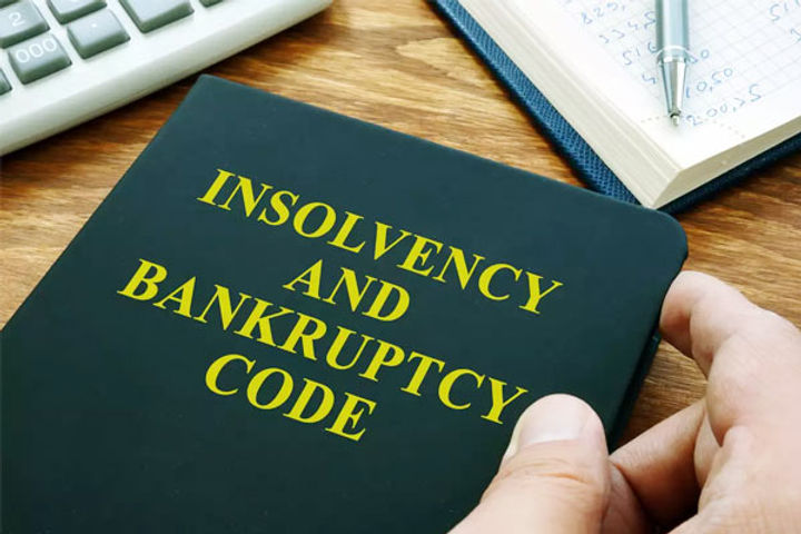Proceedings Under Insolvency Law