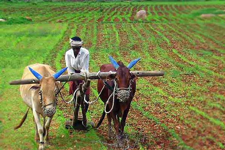 Congress Drafted Model Law To Neutralize Agricultural Laws
