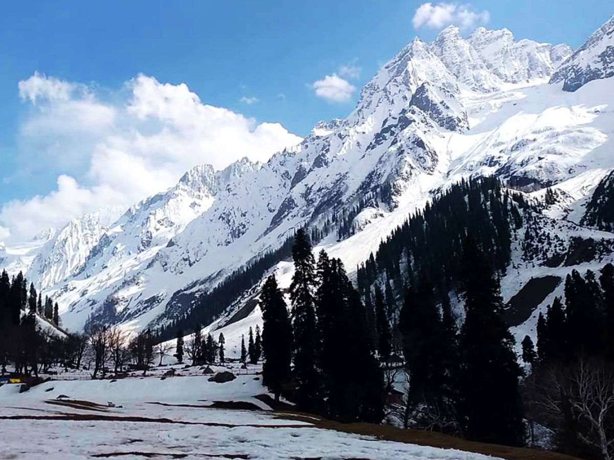 The Snowy Glaciers of Sonmarg