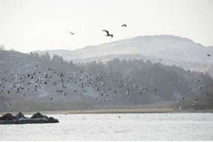 Earthquake and Tsunami