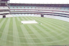 ACB Announces Formation Of Womens Cricket Team 25 Women To Be Given Central Contract