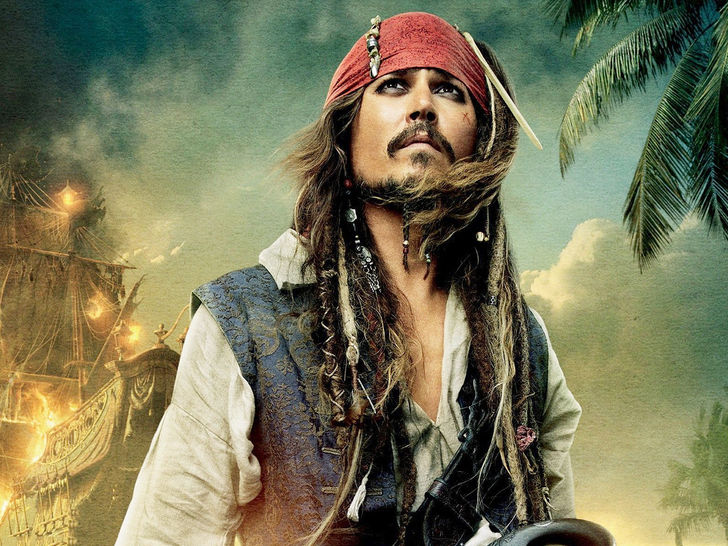 The Pirate The Pirate