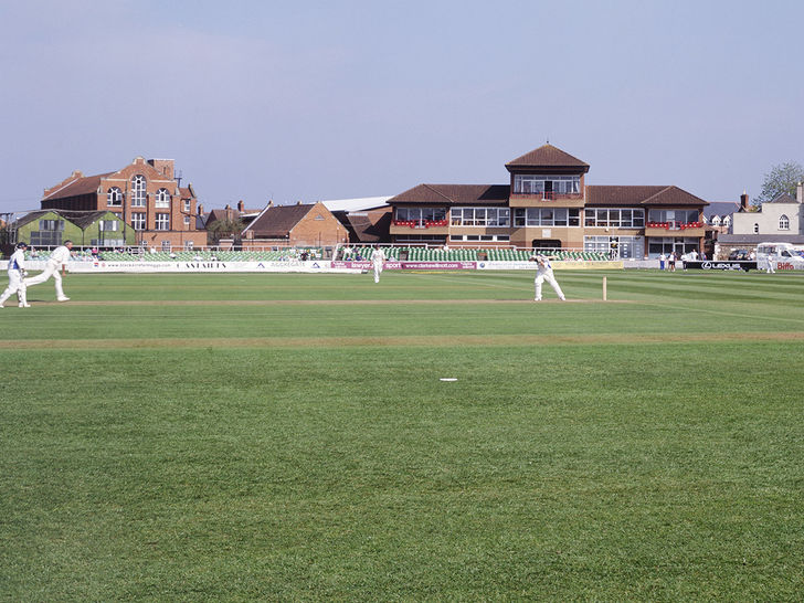 Cricket Cricket
