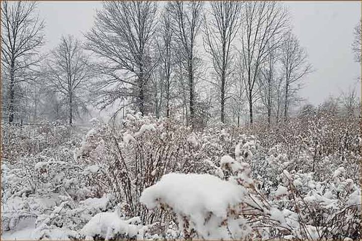 Snowfall In Kedarnath And Badrinath