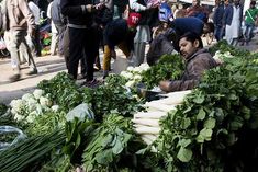 WPI Inflation For October 2020 According To Government Of India