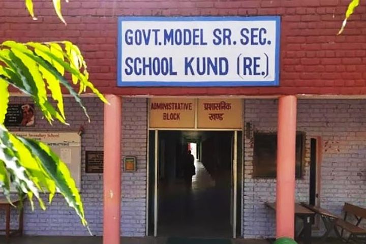 Government School