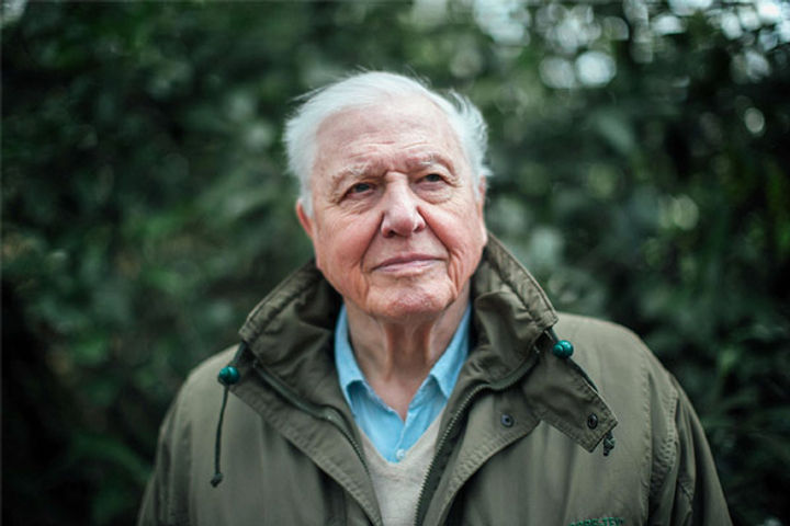 Sir David Attenborough quits Instagram