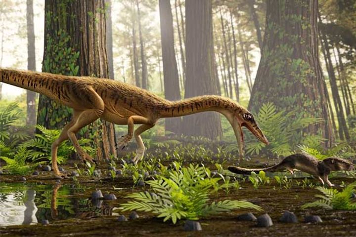 Remains of 230 million year old dinosaur