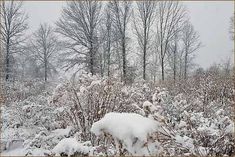 Freezing in Jammu and Kashmir, snowfall blocked many places