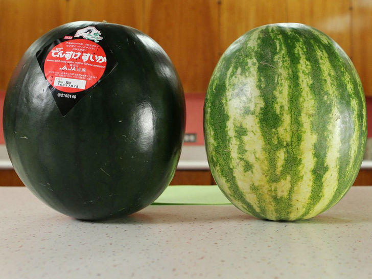 This is not your common watermelon