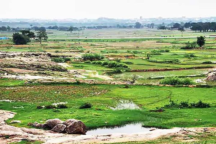 Land Mafia Land Mafia