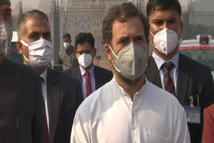 Rahul Gandhi Protest against Farm Laws Rahul Gandhi Protest against Farm Laws