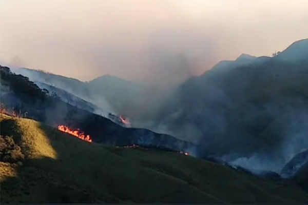 Wildfire At Dzuko Valley