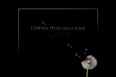 Vaio Laptops