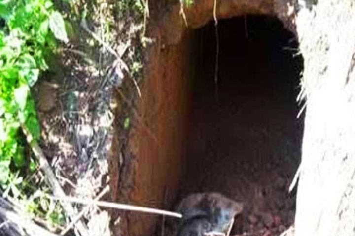 Tunnel Found near International Border 