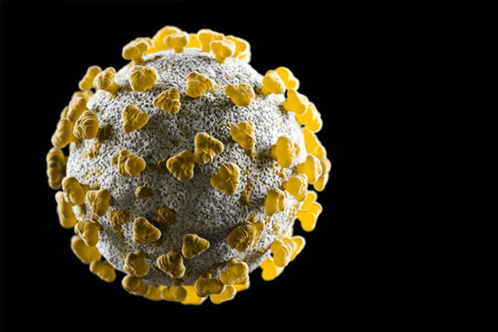 Britain Has The Most Genomes Of Coronavirus