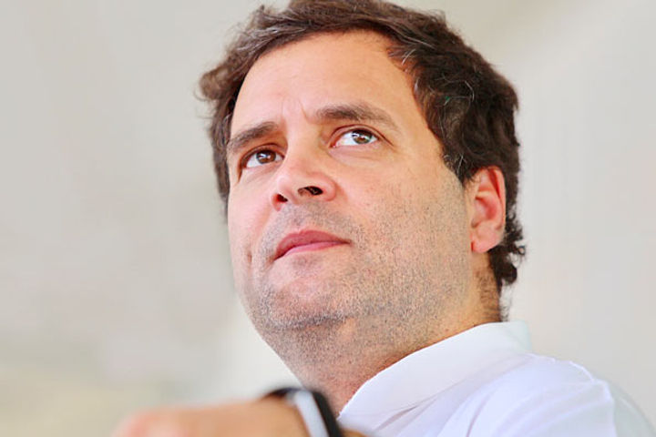 Those Who Fear The Truth Arrest True Journalists Says Rahul Gandhi Those Who Fear The Truth Arrest True Journalists Says Rahul Gandhi