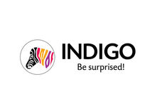 Rise in Indigo Paints shares
