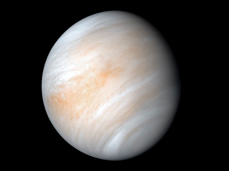  Venus 