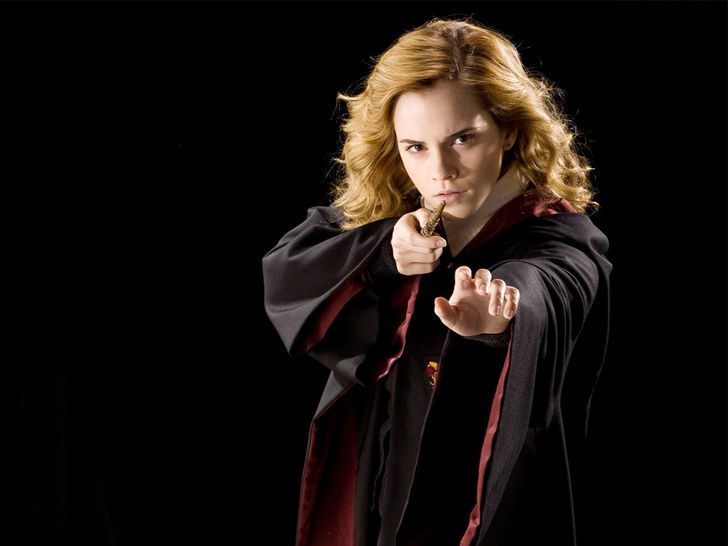 Hermione Granger, The Harry Potter Series 