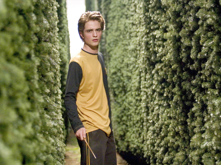 Cedric Diggory 