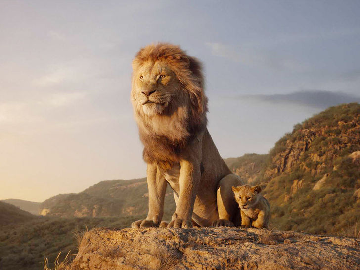 The Fall of Mufasa, The Lion King The Fall of Mufasa, The Lion King