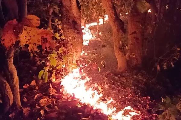Wildfire in Odisha