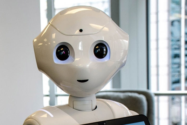 Demand For Robots Up To 1.70 Lakh Rupees Is Increasing Reason People Prefer To Talk To Robots By Lea