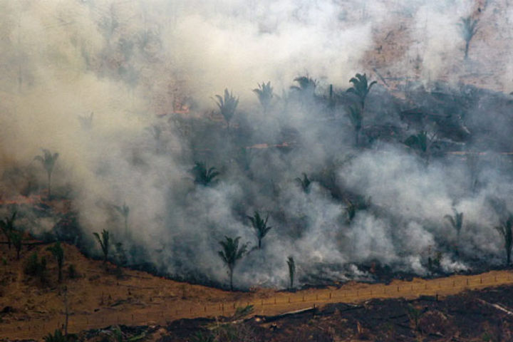 Two-thirds of tropical rainforests destroyed