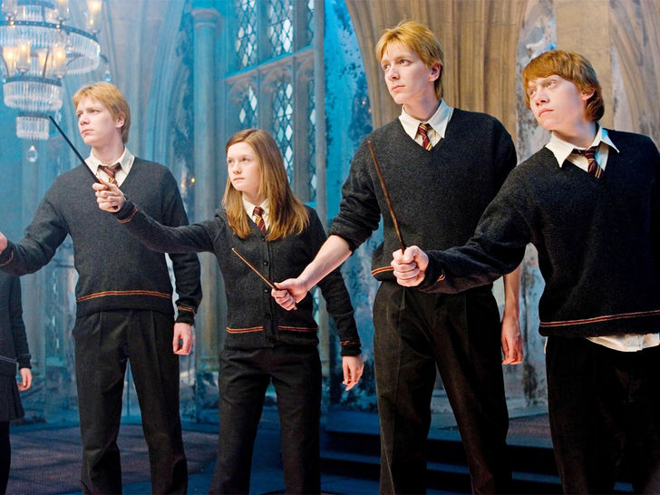 The Weasleys, Harry Potter Series  