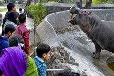 Delhi Zoo Will Open From April 1
