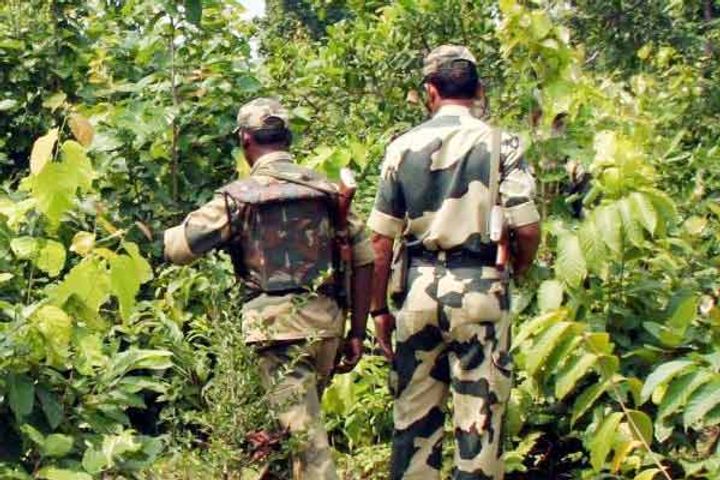 5 Naxalites killed in police encounter in Gadchiroli Maharashtra 5 Naxalites killed in police encounter in Gadchiroli Maharashtra