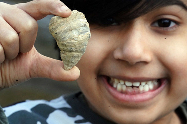 6 year old finds 488-million-years' old fossil