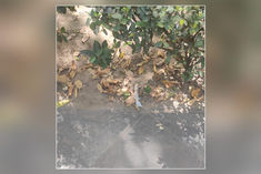 Suspicious objects found near National Media Center dog squad and bomb squad with Delhi Police prese