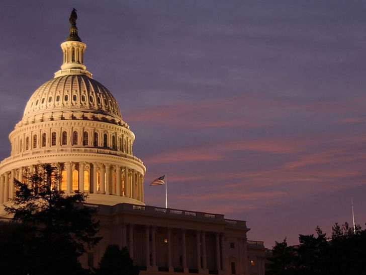 Government Government